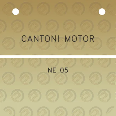 cantoni-motor-ne-05