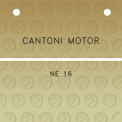 cantoni-motor-ne-16