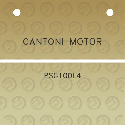 cantoni-motor-psg100l4