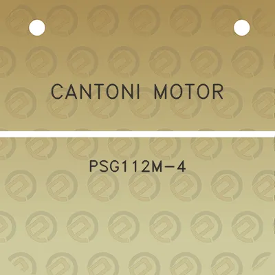 cantoni-motor-psg112m-4