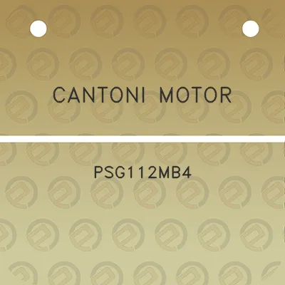 cantoni-motor-psg112mb4