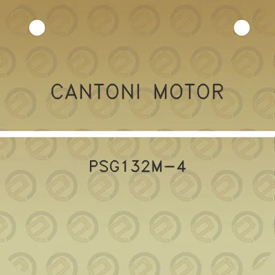 cantoni-motor-psg132m-4