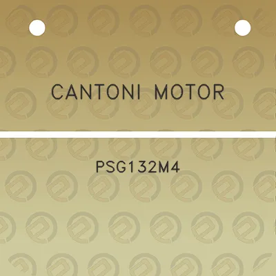 cantoni-motor-psg132m4