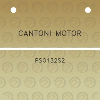 cantoni-motor-psg132s2