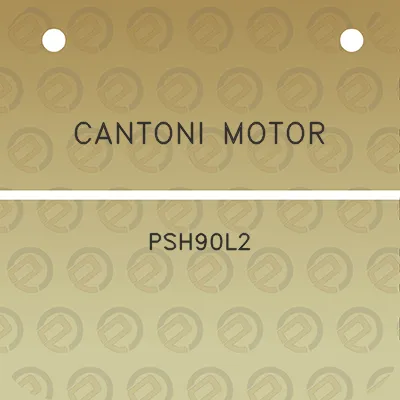 cantoni-motor-psh90l2