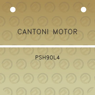 cantoni-motor-psh90l4