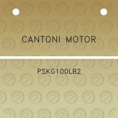 cantoni-motor-pskg100lb2