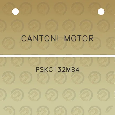 cantoni-motor-pskg132mb4