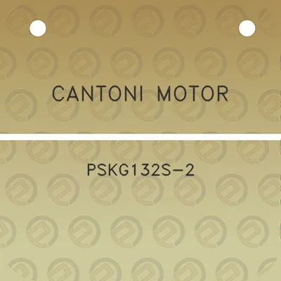 cantoni-motor-pskg132s-2