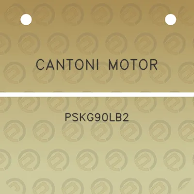 cantoni-motor-pskg90lb2