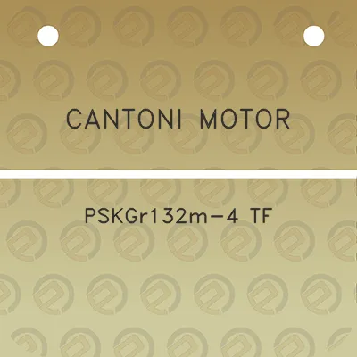 cantoni-motor-pskgr132m-4-tf