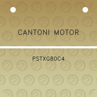 cantoni-motor-pstxg80c4