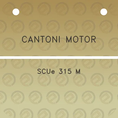 cantoni-motor-scue-315-m