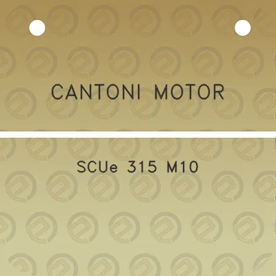 cantoni-motor-scue-315-m10