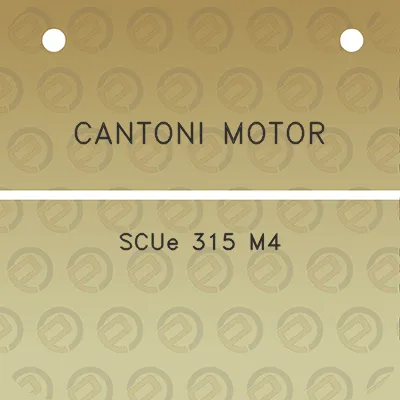 cantoni-motor-scue-315-m4