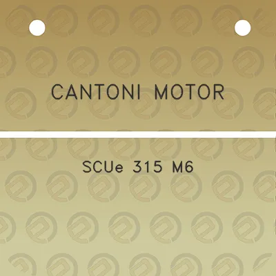 cantoni-motor-scue-315-m6