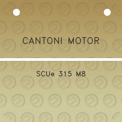 cantoni-motor-scue-315-m8