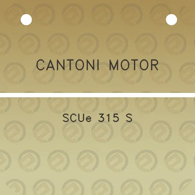 cantoni-motor-scue-315-s