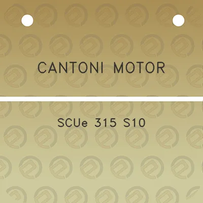 cantoni-motor-scue-315-s10