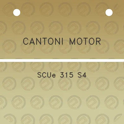 cantoni-motor-scue-315-s4