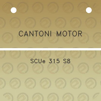 cantoni-motor-scue-315-s8