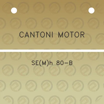 cantoni-motor-semh-80-b