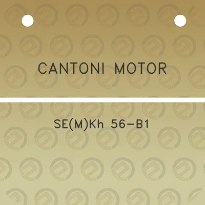 cantoni-motor-semkh-56-b1