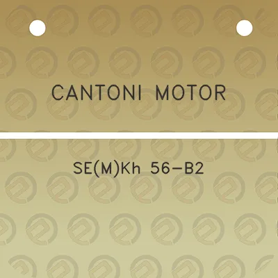 cantoni-motor-semkh-56-b2