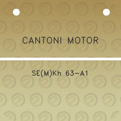 cantoni-motor-semkh-63-a1