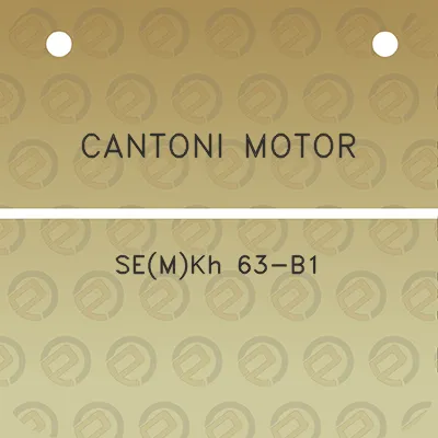 cantoni-motor-semkh-63-b1