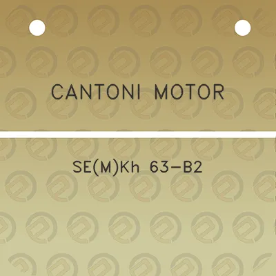 cantoni-motor-semkh-63-b2