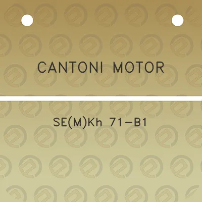 cantoni-motor-semkh-71-b1