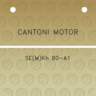 cantoni-motor-semkh-80-a1