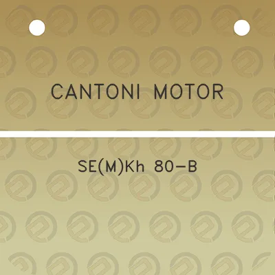 cantoni-motor-semkh-80-b