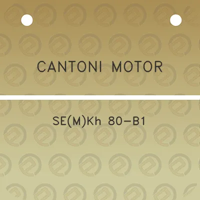 cantoni-motor-semkh-80-b1