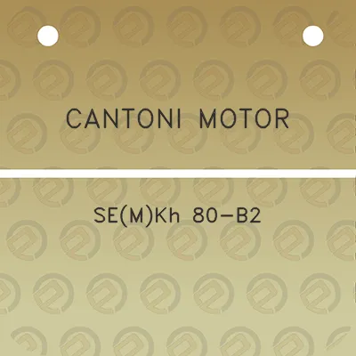 cantoni-motor-semkh-80-b2