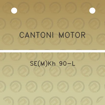 cantoni-motor-semkh-90-l