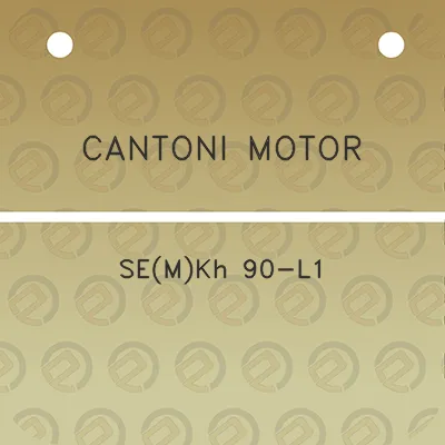 cantoni-motor-semkh-90-l1