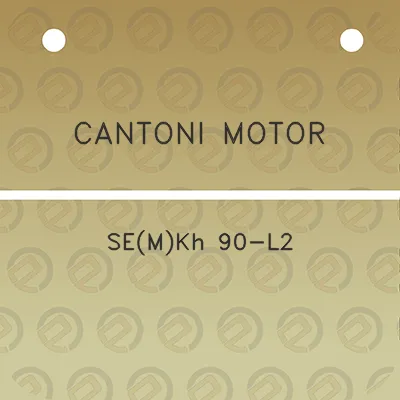 cantoni-motor-semkh-90-l2