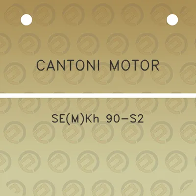 cantoni-motor-semkh-90-s2