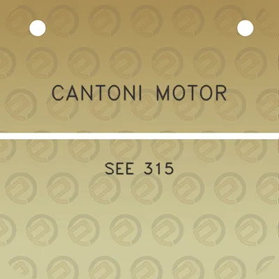 cantoni-motor-see-315