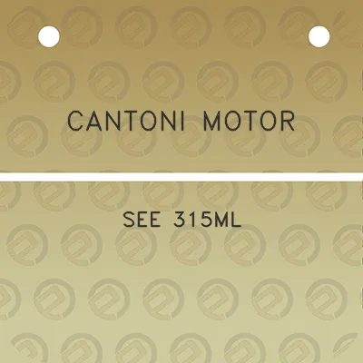 cantoni-motor-see-315ml