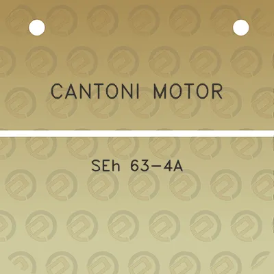 cantoni-motor-seh-63-4a