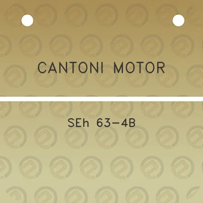 cantoni-motor-seh-63-4b