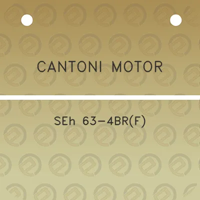 cantoni-motor-seh-63-4brf