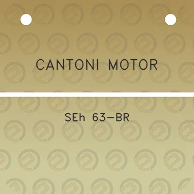 cantoni-motor-seh-63-br