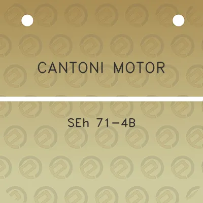 cantoni-motor-seh-71-4b