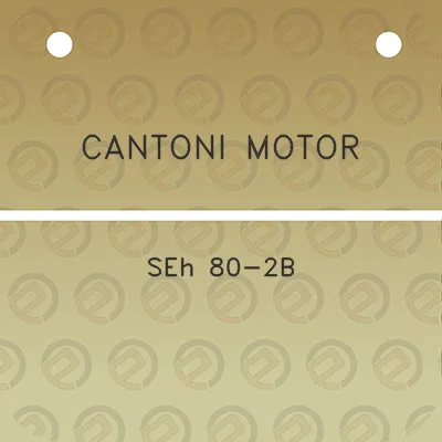 cantoni-motor-seh-80-2b