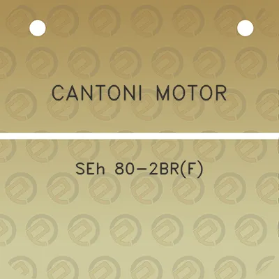 cantoni-motor-seh-80-2brf