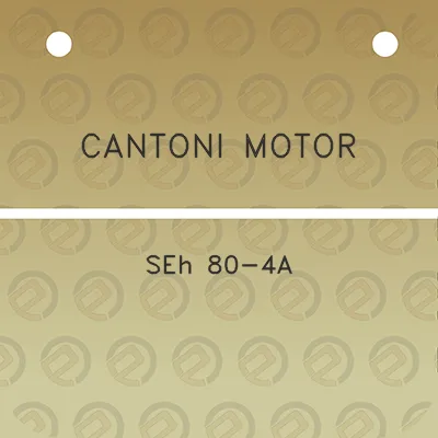 cantoni-motor-seh-80-4a